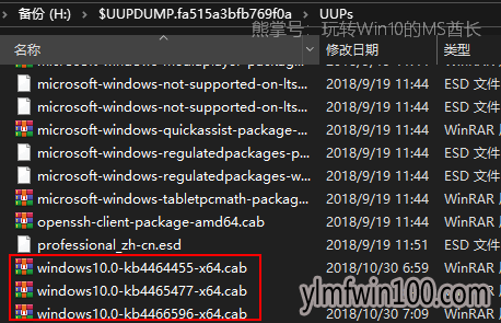 UUP dump downloader可下载Win10 ISO镜像所有版本7.png