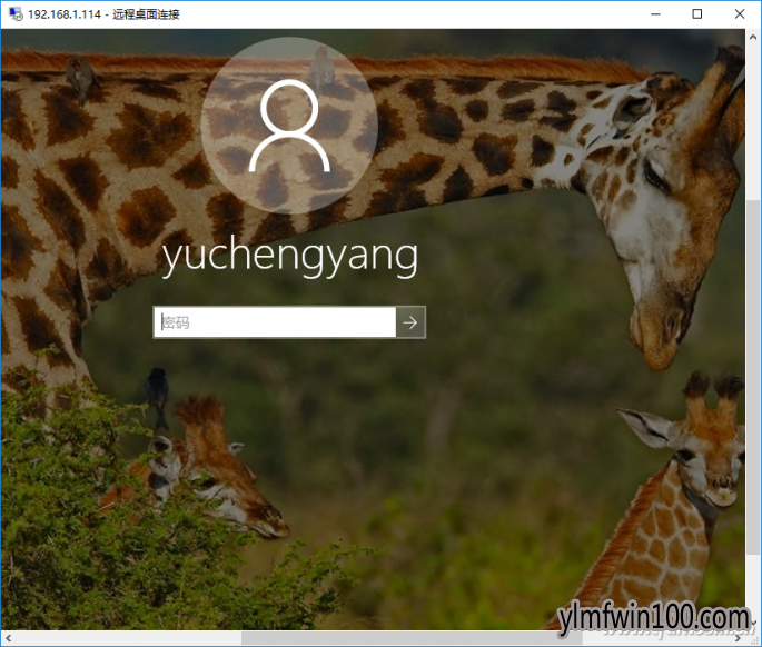 Windows 10特殊截图4