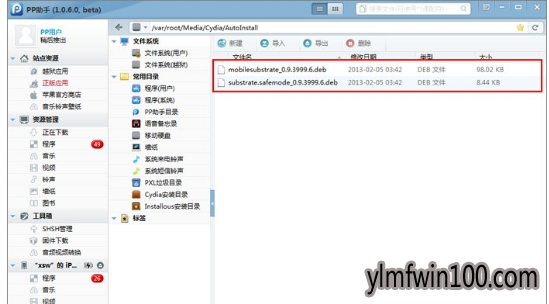 cydia cydia