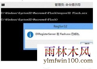 win10ϵͳʾûҵflash.ocxôķ