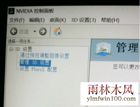 win10ϵͳnvidiaֻһ3dô죿