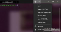 ΢Ƴ¿йwindows Terminal